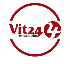 Nhà hàng vịt 24